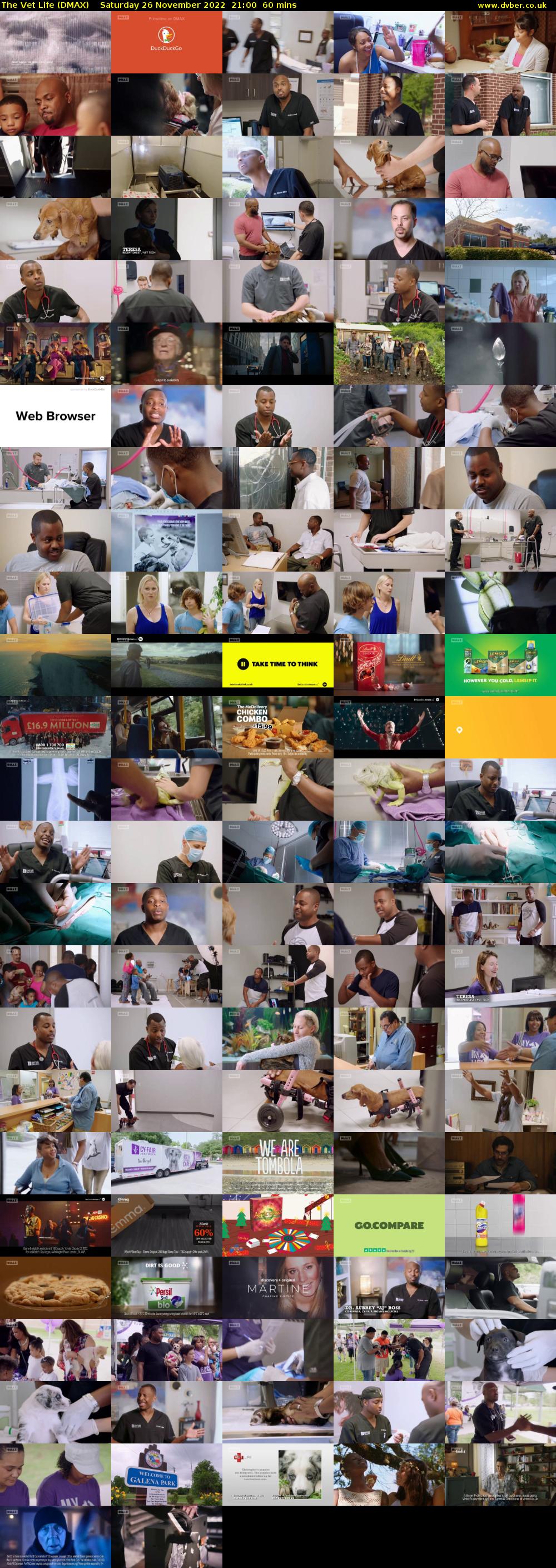 The Vet Life (DMAX) Saturday 26 November 2022 21:00 - 22:00