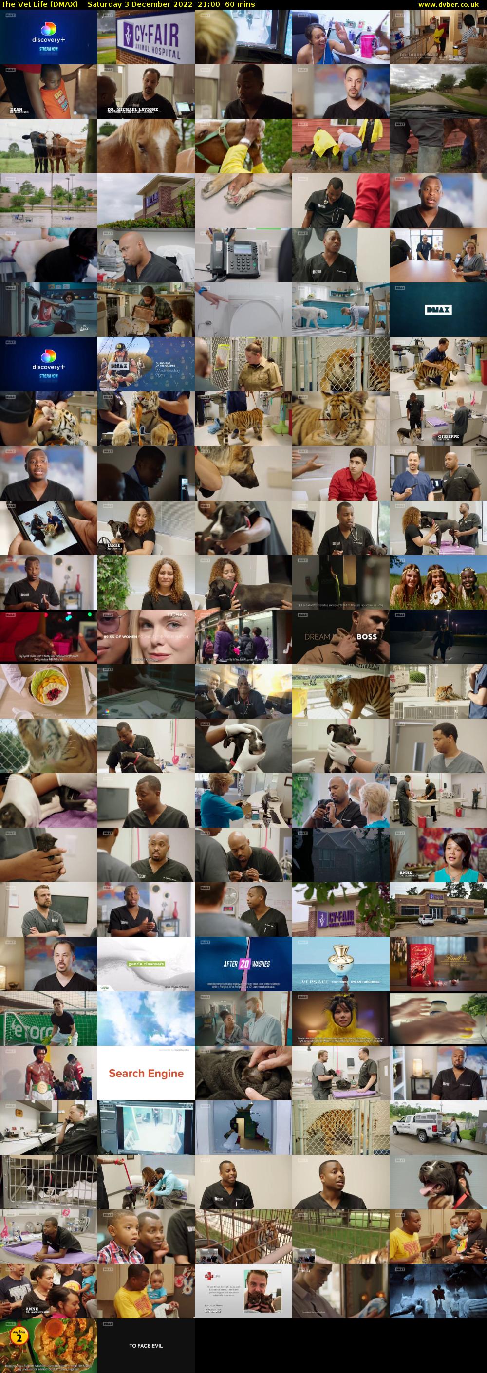 The Vet Life (DMAX) Saturday 3 December 2022 21:00 - 22:00