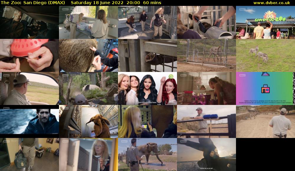 The Zoo: San Diego (DMAX) Saturday 18 June 2022 20:00 - 21:00