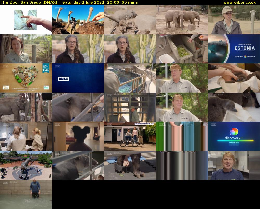 The Zoo: San Diego (DMAX) Saturday 2 July 2022 20:00 - 21:00