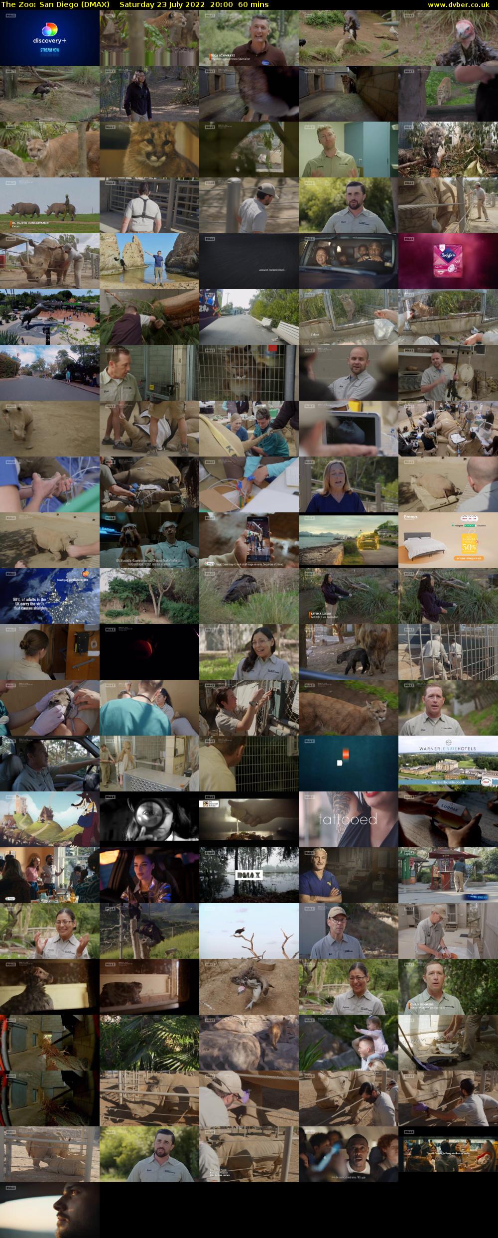 The Zoo: San Diego (DMAX) Saturday 23 July 2022 20:00 - 21:00