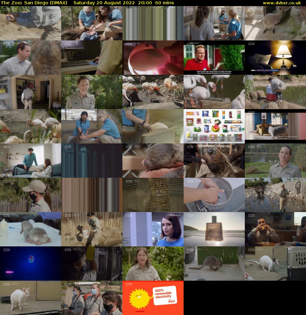 The Zoo: San Diego (DMAX) Saturday 20 August 2022 20:00 - 21:00