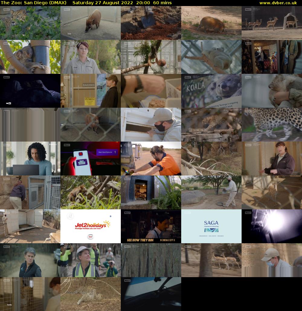 The Zoo: San Diego (DMAX) Saturday 27 August 2022 20:00 - 21:00