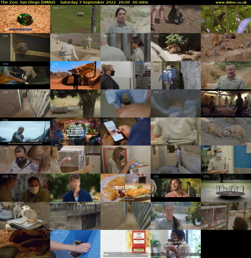 The Zoo: San Diego (DMAX) Saturday 3 September 2022 20:00 - 21:00