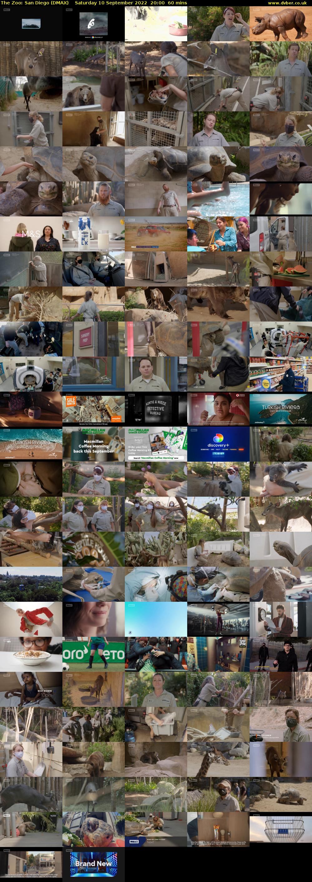 The Zoo: San Diego (DMAX) Saturday 10 September 2022 20:00 - 21:00