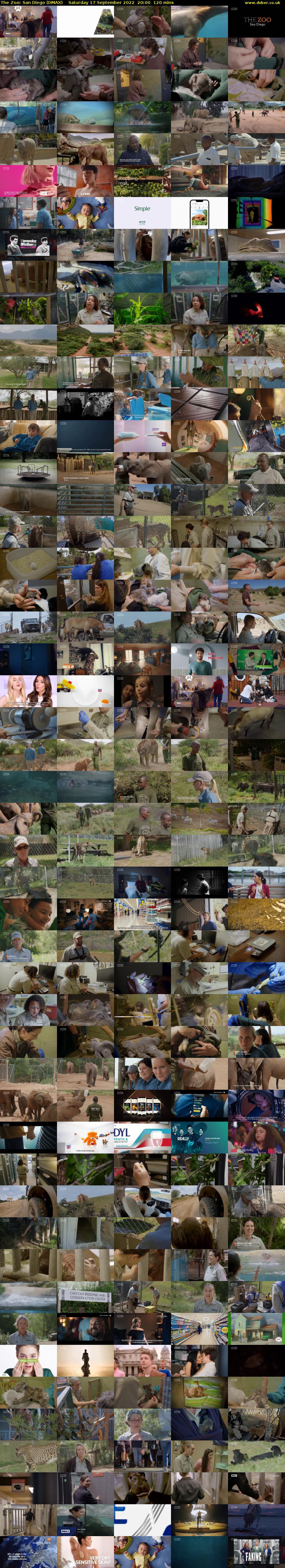 The Zoo: San Diego (DMAX) Saturday 17 September 2022 20:00 - 22:00