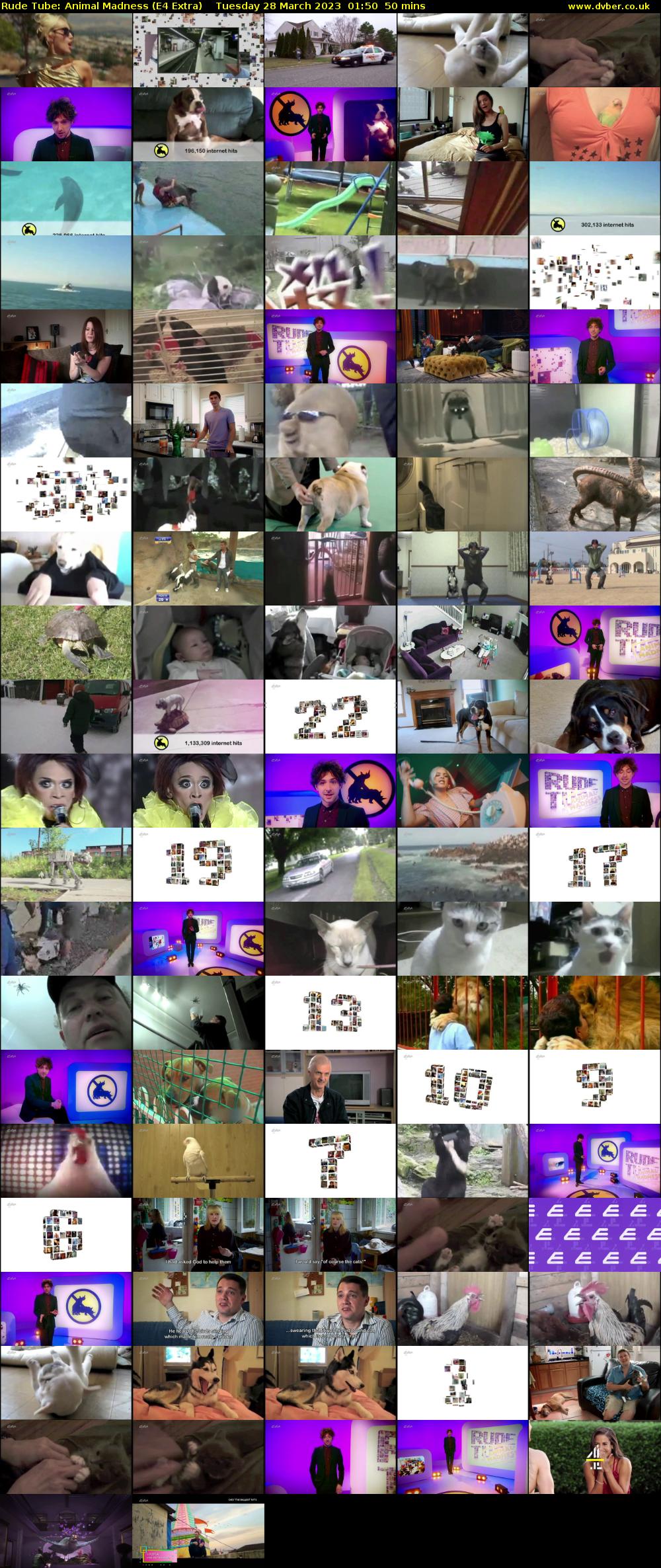 Rude Tube: Animal Madness (E4 Extra) Tuesday 28 March 2023 01:50 - 02:40