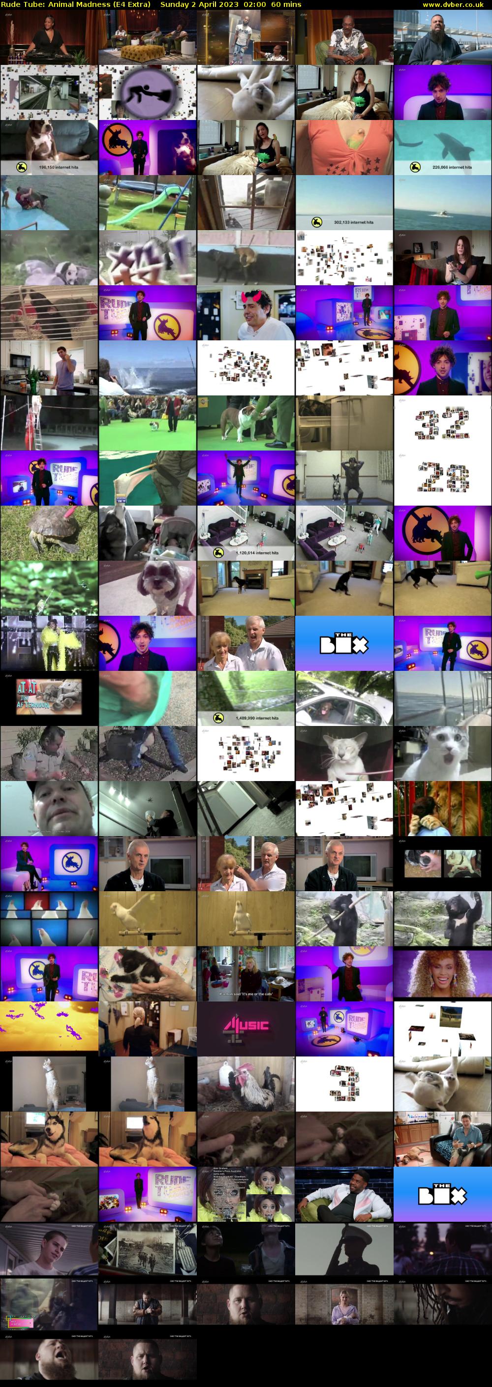Rude Tube: Animal Madness (E4 Extra) Sunday 2 April 2023 02:00 - 03:00
