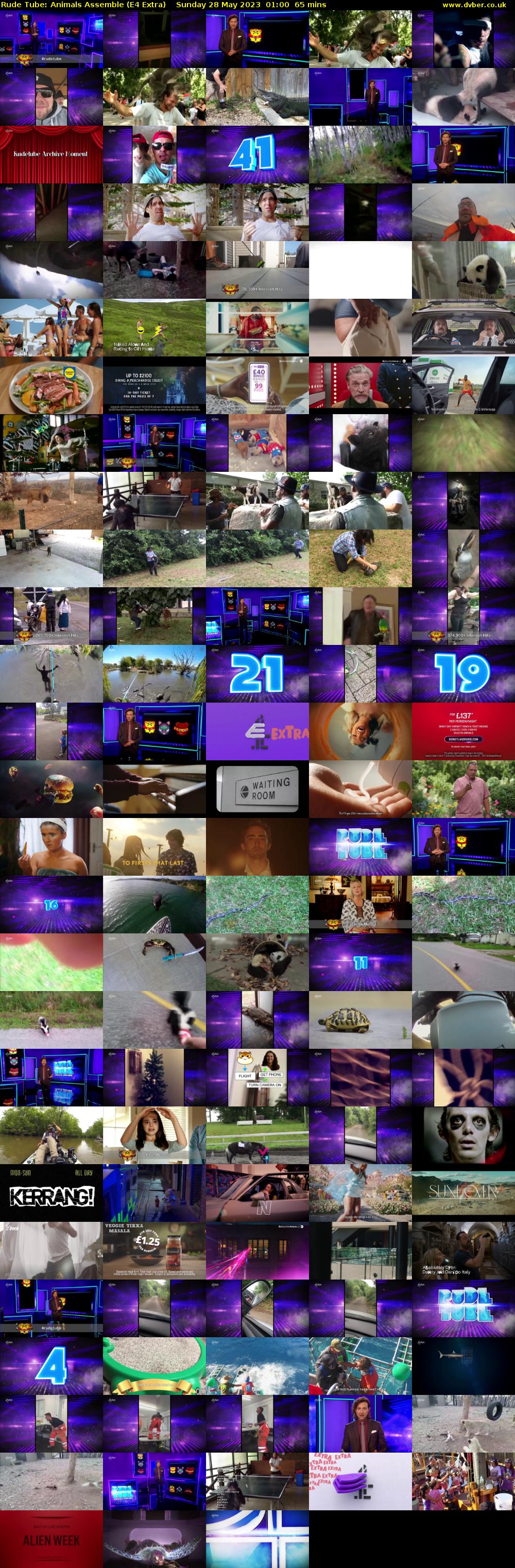 Rude Tube: Animals Assemble (E4 Extra) Sunday 28 May 2023 01:00 - 02:05