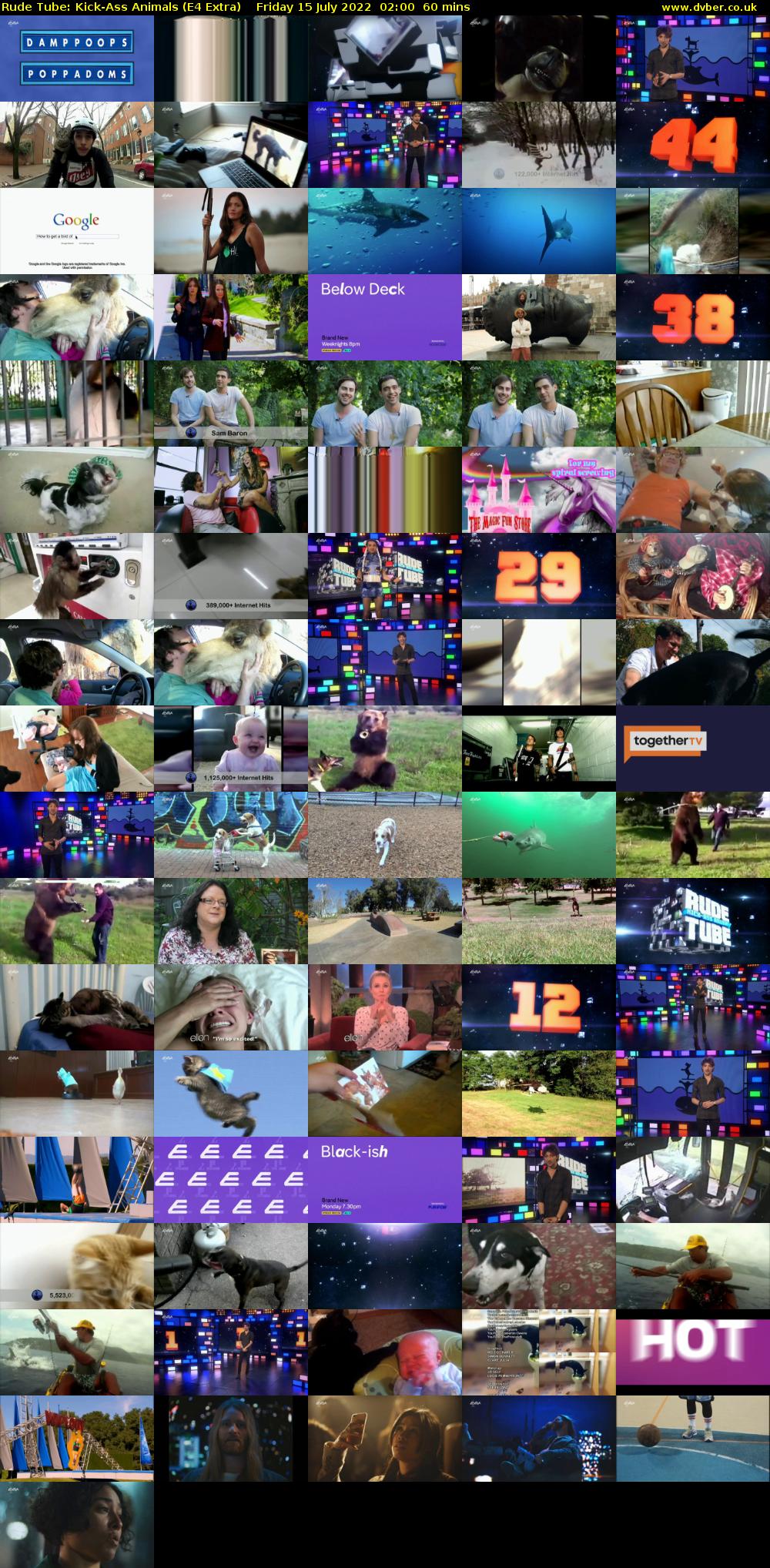 Rude Tube: Kick-Ass Animals (E4 Extra) Friday 15 July 2022 02:00 - 03:00