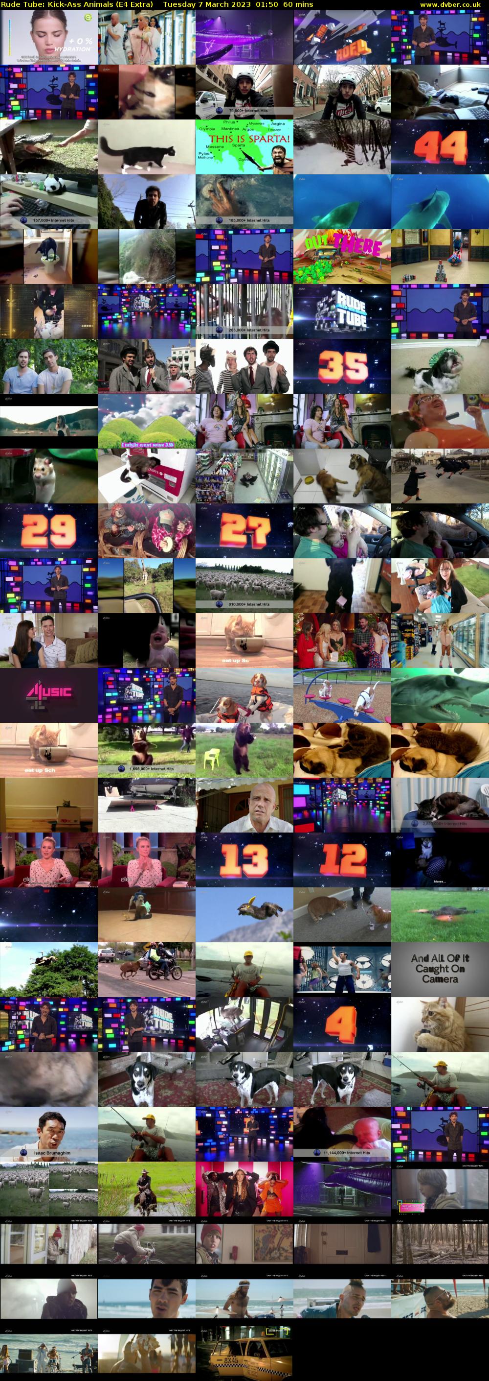 Rude Tube: Kick-Ass Animals (E4 Extra) Tuesday 7 March 2023 01:50 - 02:50