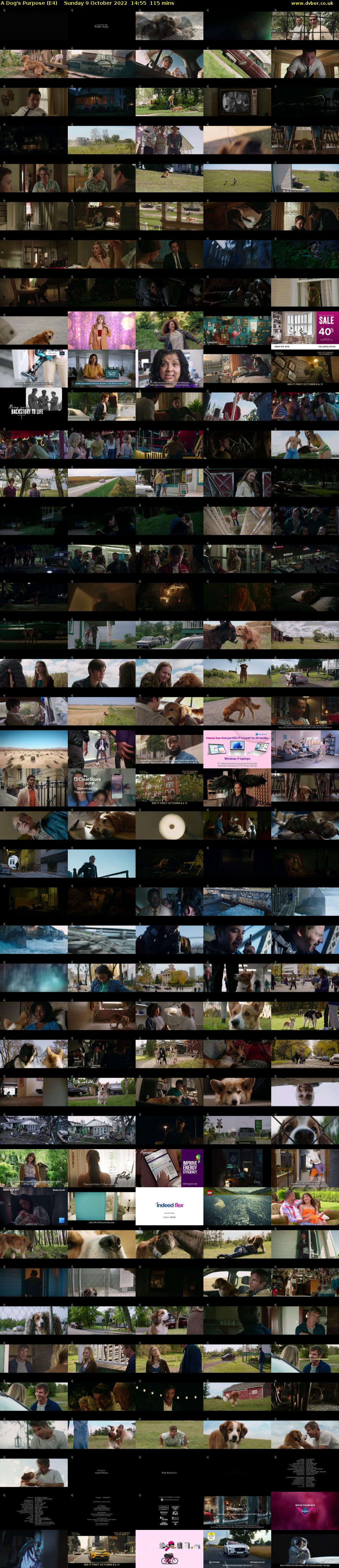 A Dog's Purpose (E4) Sunday 9 October 2022 14:55 - 16:50