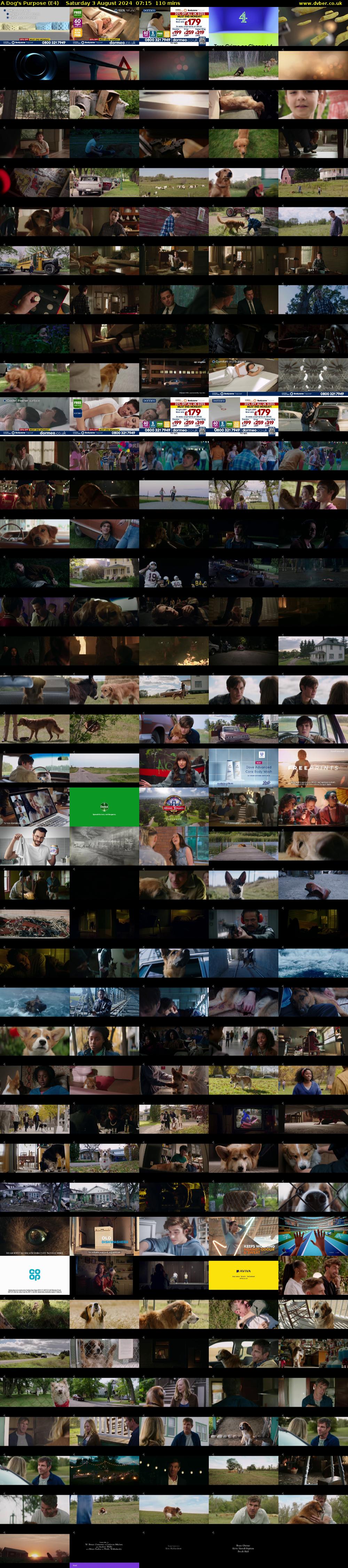 A Dog's Purpose (E4) Saturday 3 August 2024 07:15 - 09:05