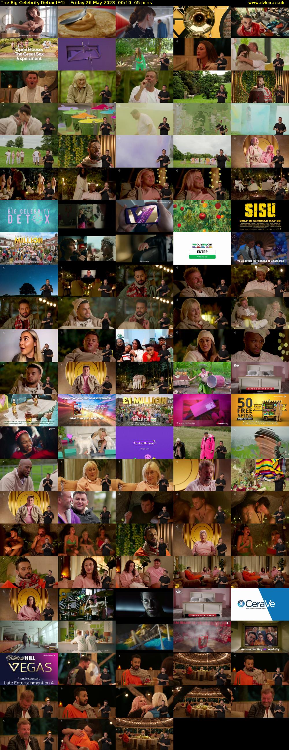 The Big Celebrity Detox (E4) Friday 26 May 2023 00:10 - 01:15