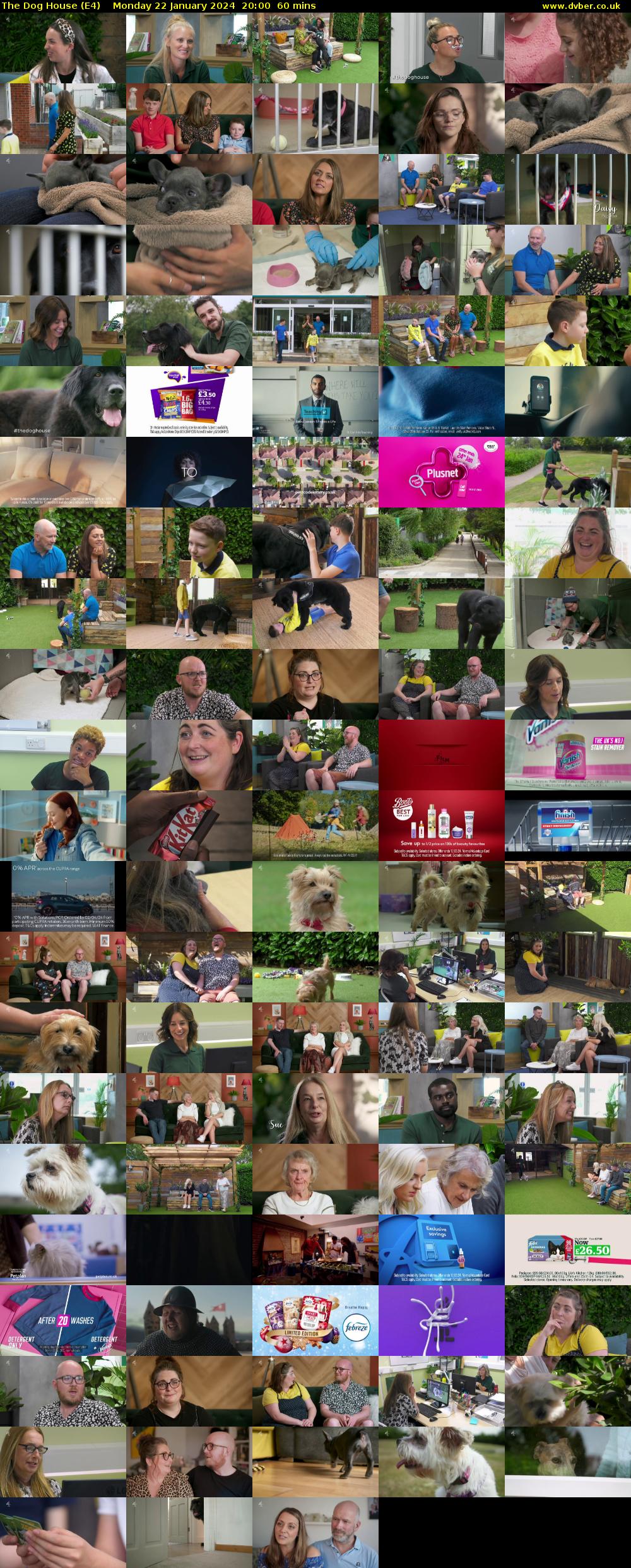 The Dog House (E4) Monday 22 January 2024 20:00 - 21:00