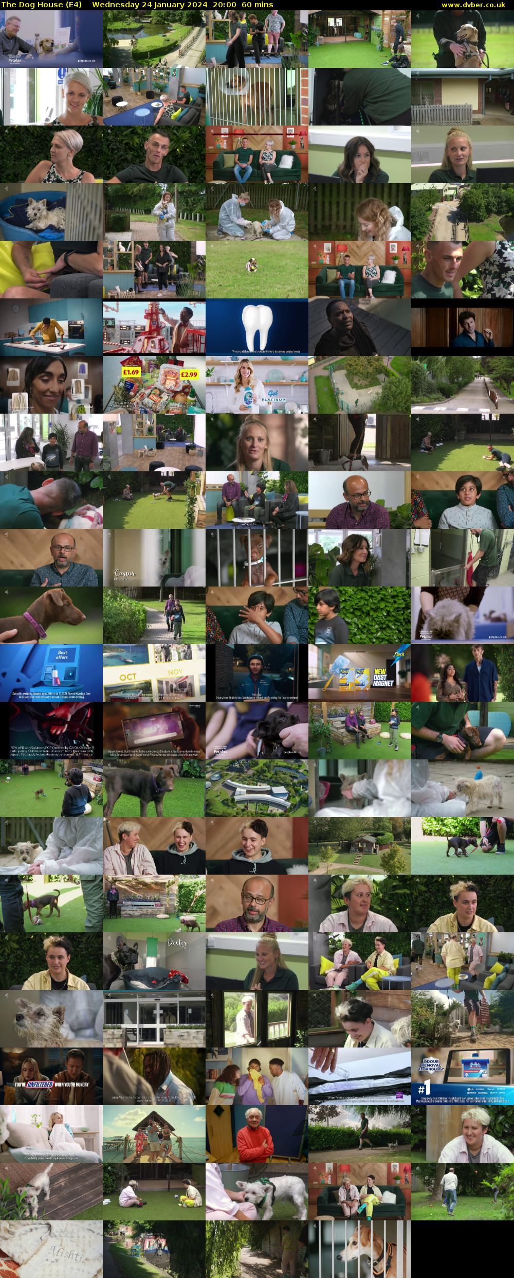 The Dog House (E4) Wednesday 24 January 2024 20:00 - 21:00