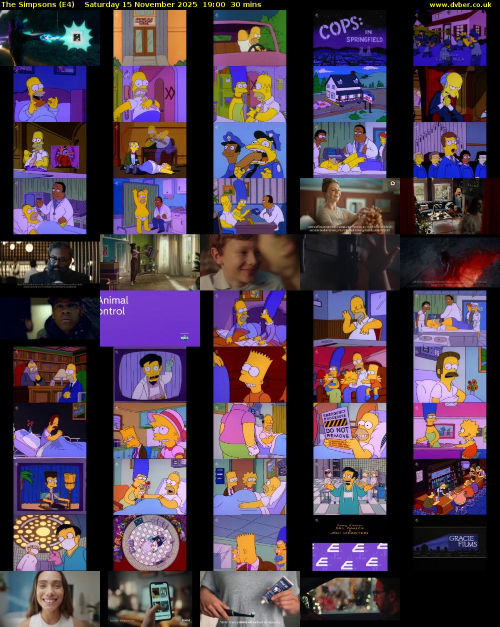 The Simpsons (E4) Saturday 15 November 2025 19:00 - 19:30