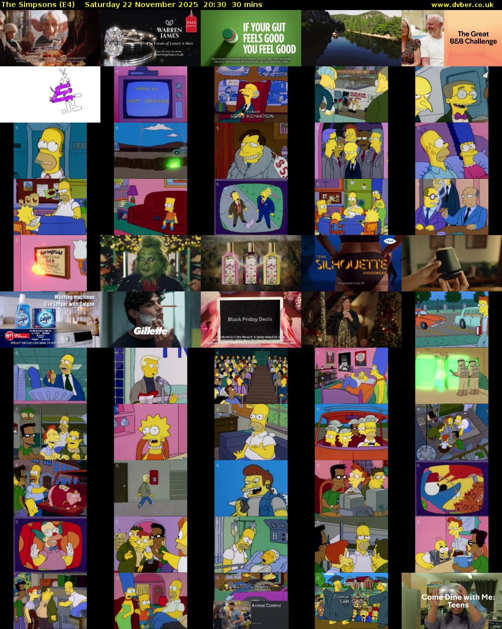 The Simpsons (E4) Saturday 22 November 2025 20:30 - 21:00