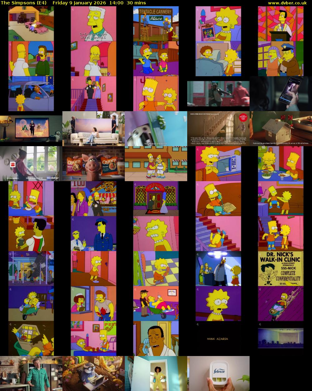 The Simpsons (E4) Friday 9 January 2026 14:00 - 14:30