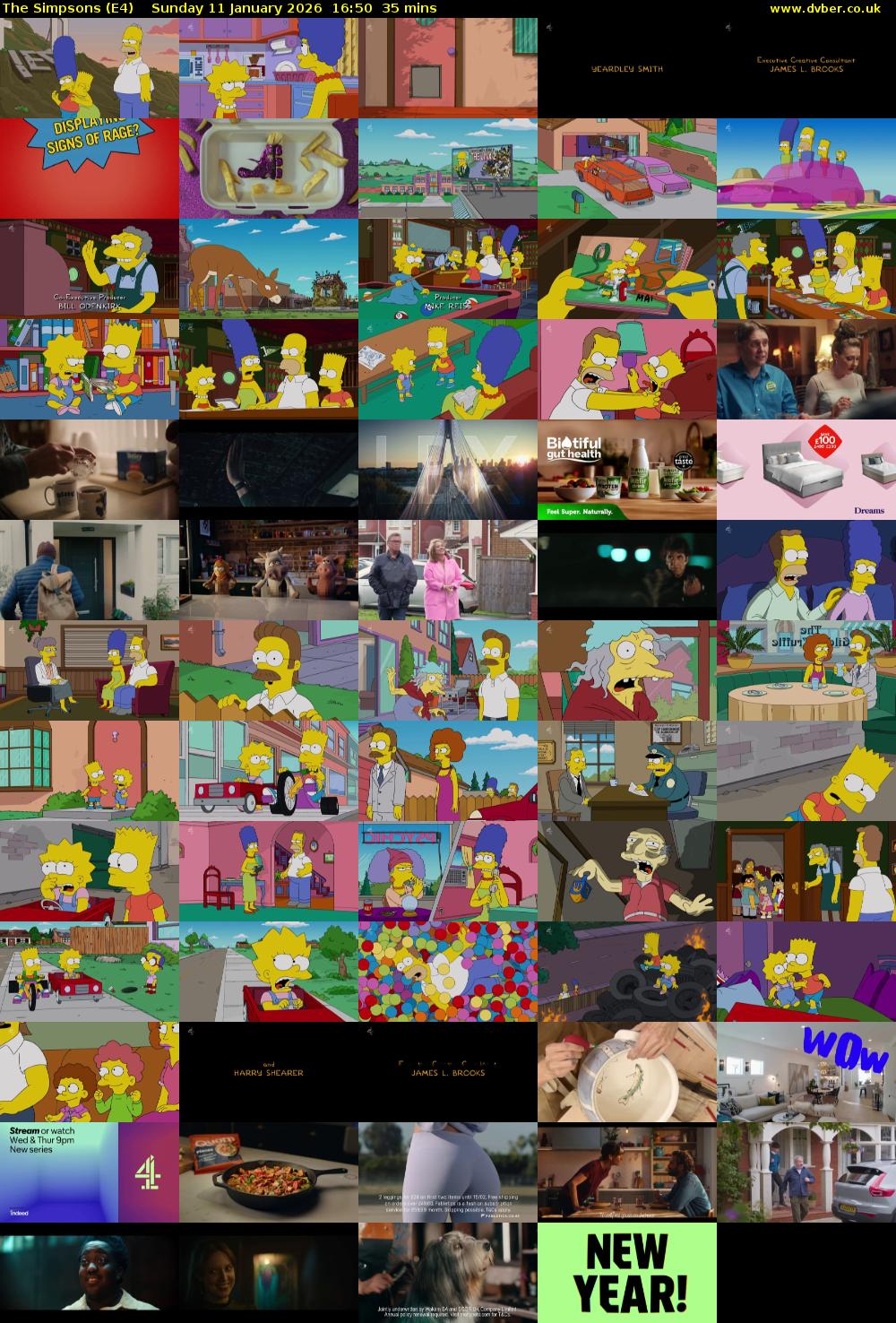 The Simpsons (E4) Sunday 11 January 2026 16:50 - 17:25