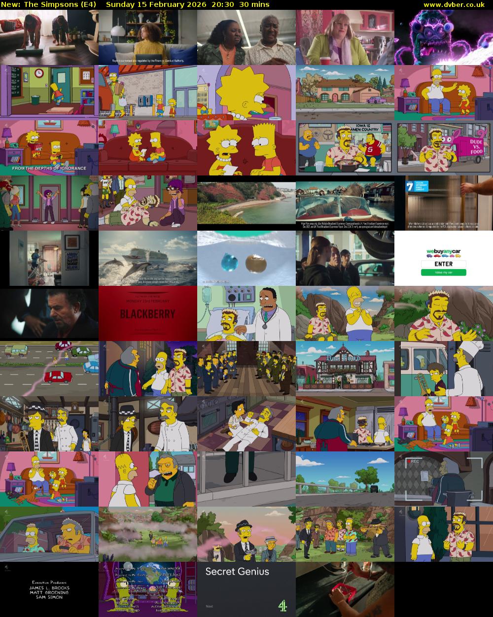 The Simpsons (E4) Sunday 15 February 2026 20:30 - 21:00