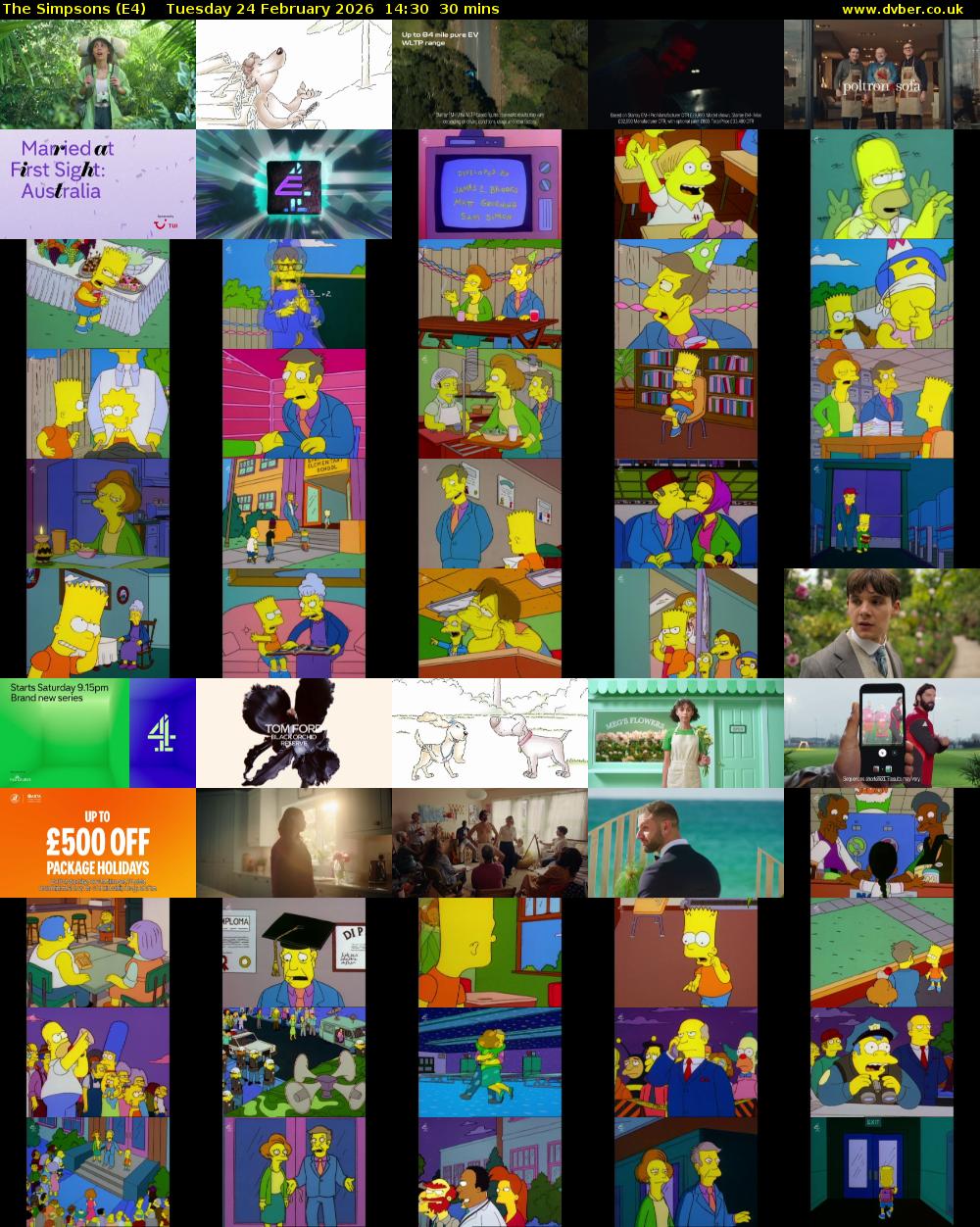 The Simpsons (E4) Tuesday 24 February 2026 14:30 - 15:00