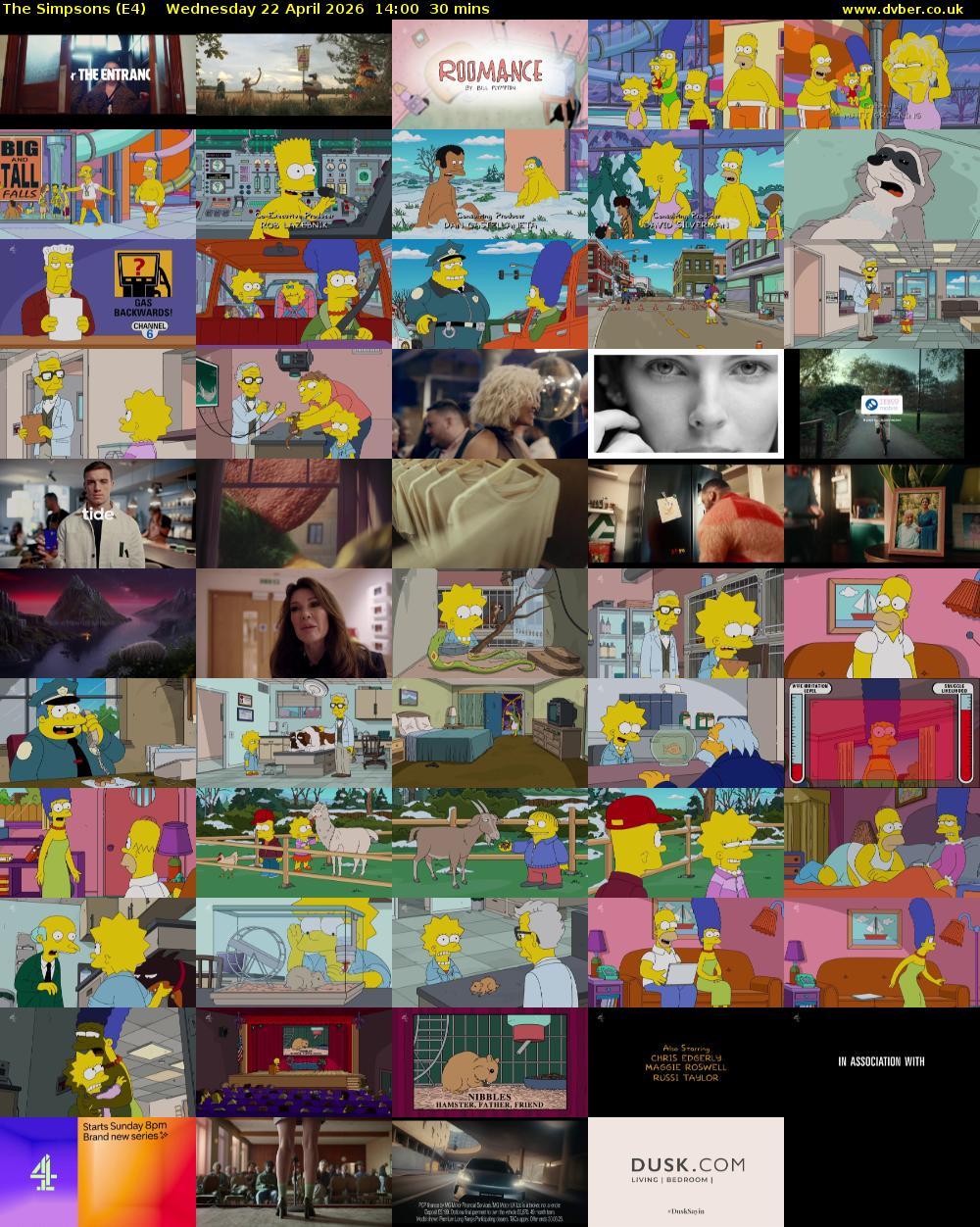 The Simpsons (E4) Wednesday 22 April 2026 14:00 - 14:30
