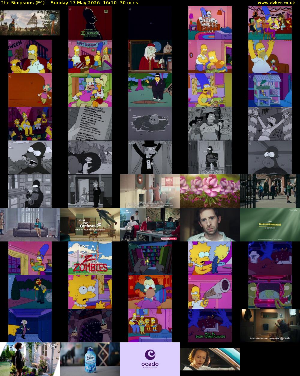 The Simpsons (E4) Sunday 17 May 2026 16:10 - 16:40