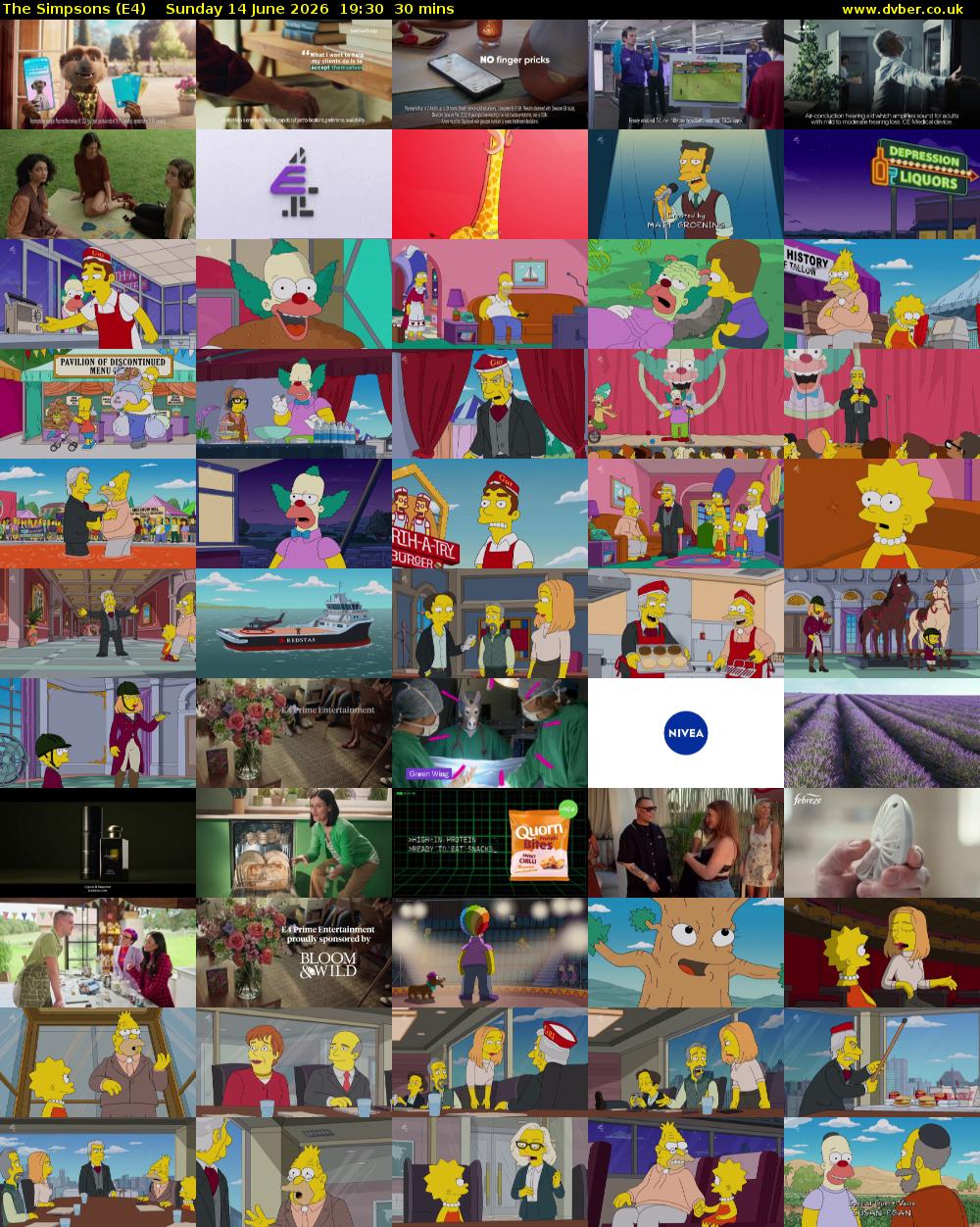The Simpsons (E4) Sunday 14 June 2026 19:30 - 20:00