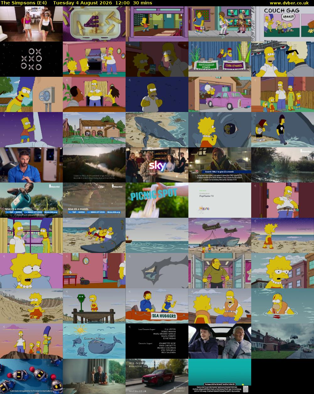 The Simpsons (E4) Tuesday 4 August 2026 12:00 - 12:30
