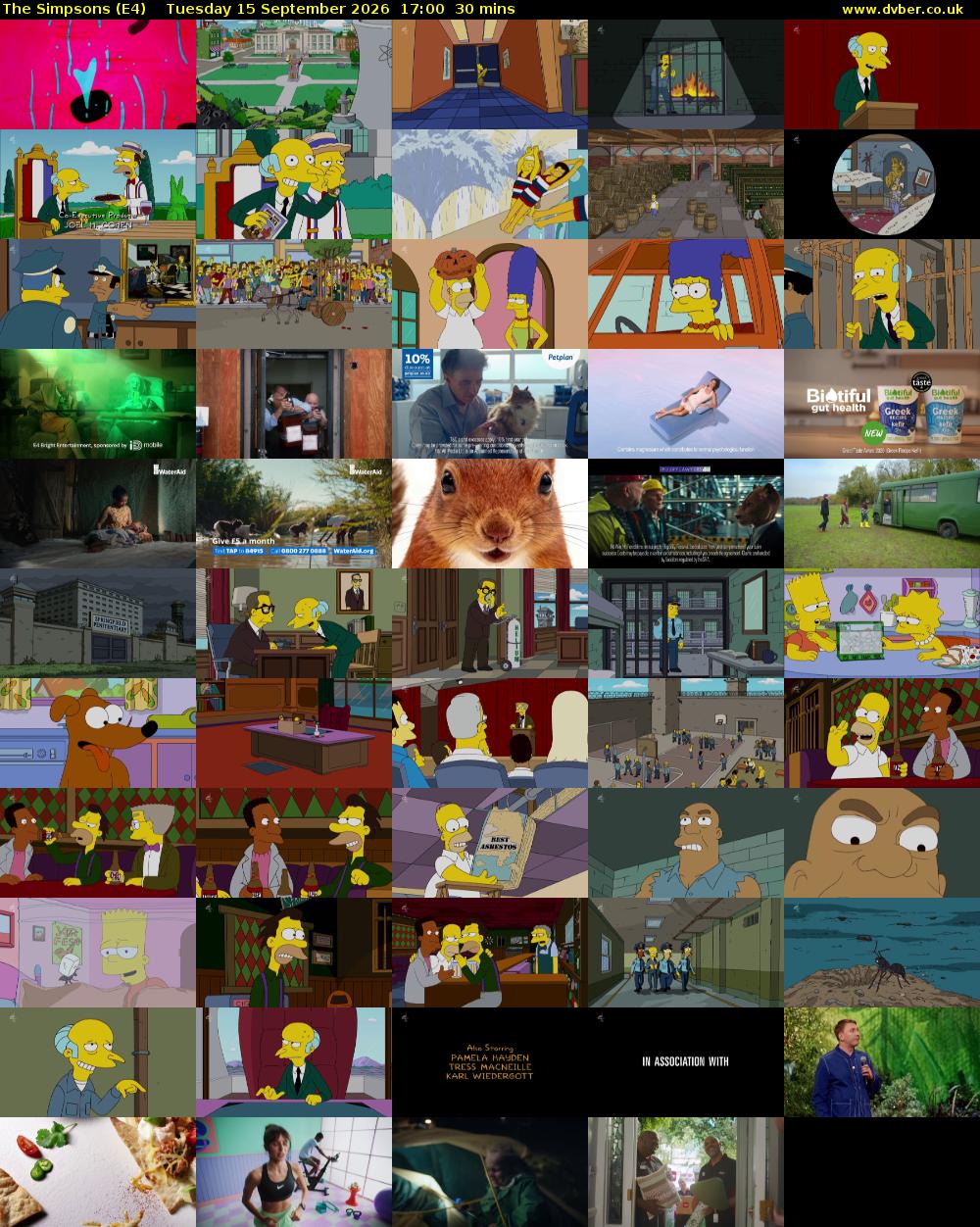 The Simpsons (E4) Tuesday 15 September 2026 17:00 - 17:30