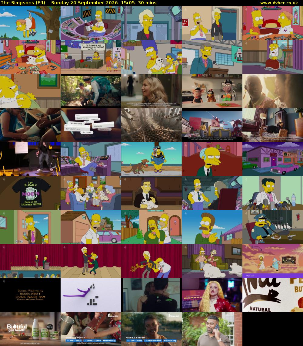 The Simpsons (E4) Sunday 20 September 2026 15:05 - 15:35