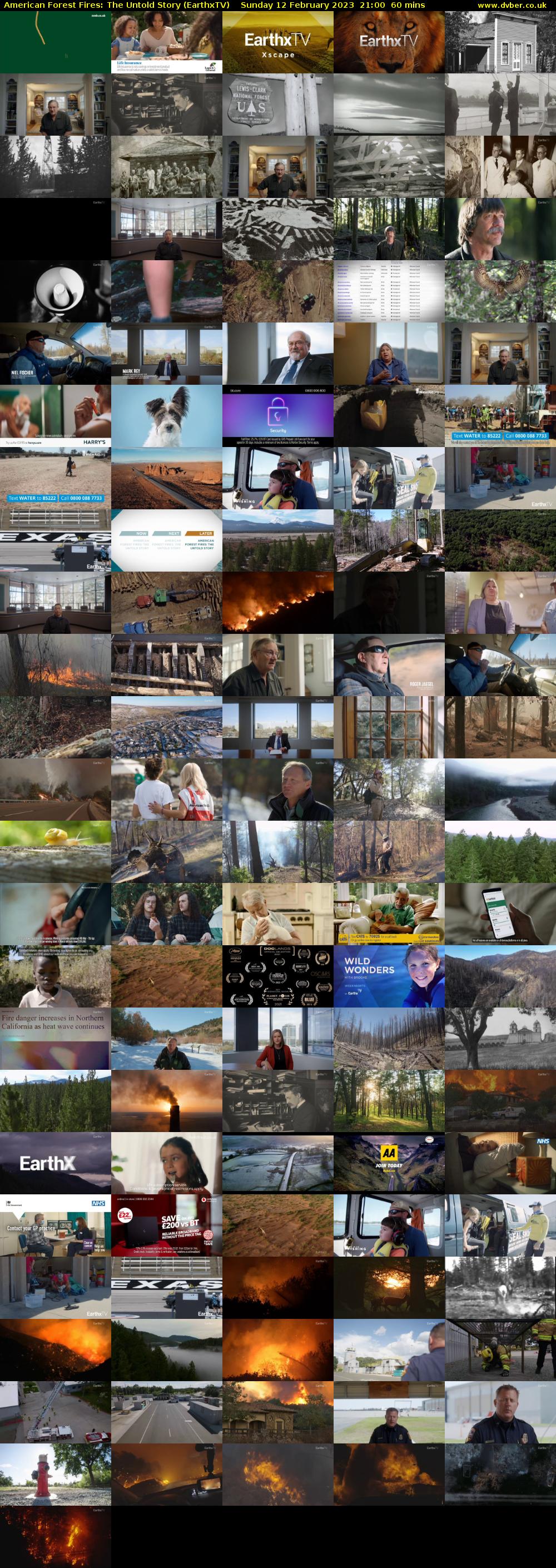  American Forest Fires: The Untold Story (EarthxTV) Sunday 12 February 2023 21:00 - 22:00