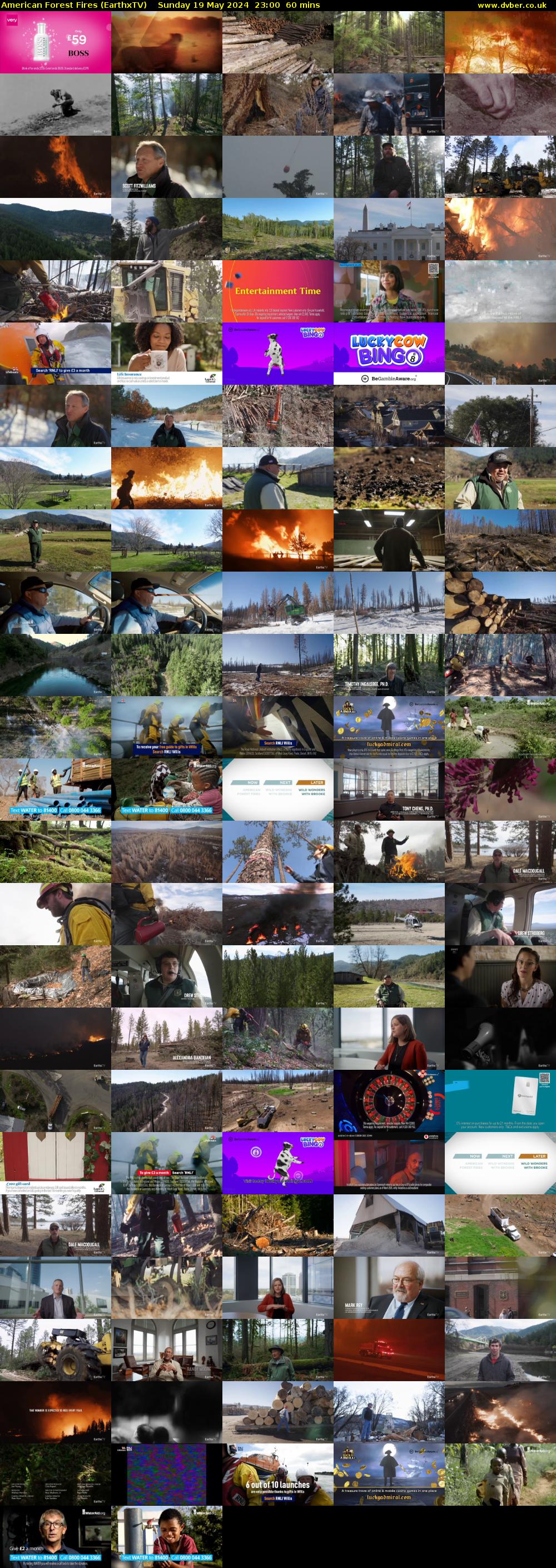 American Forest Fires (EarthxTV) Sunday 19 May 2024 23:00 - 00:00
