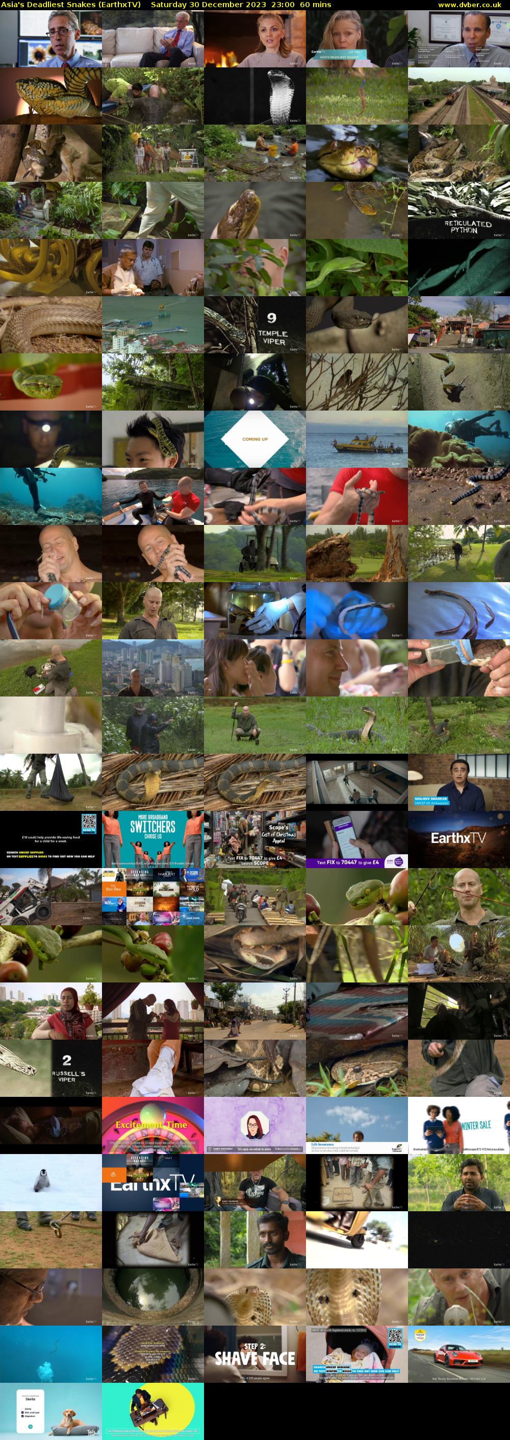 Asia's Deadliest Snakes (EarthxTV) Saturday 30 December 2023 23:00 - 00:00