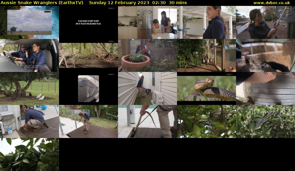 Aussie Snake Wranglers (EarthxTV) Sunday 12 February 2023 02:30 - 03:00