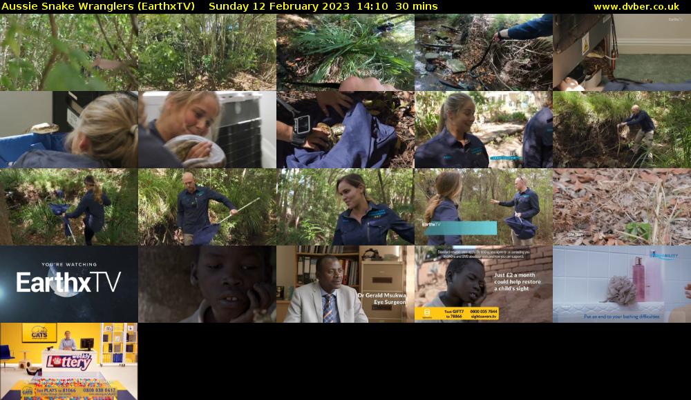 Aussie Snake Wranglers (EarthxTV) Sunday 12 February 2023 14:10 - 14:40