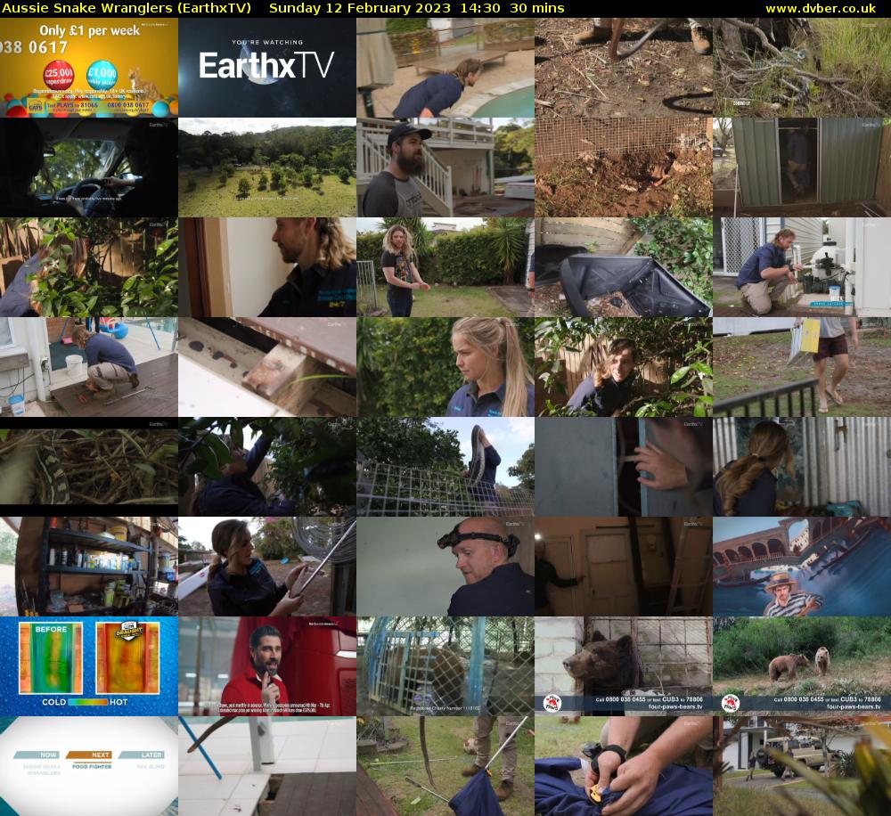 Aussie Snake Wranglers (EarthxTV) Sunday 12 February 2023 14:30 - 15:00