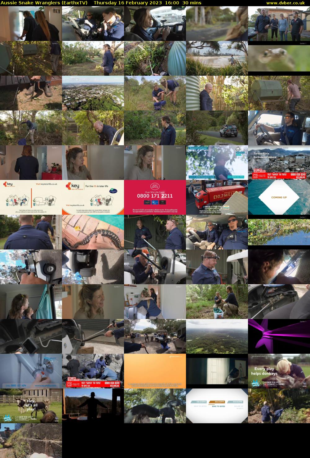 Aussie Snake Wranglers (EarthxTV) Thursday 16 February 2023 16:00 - 16:30