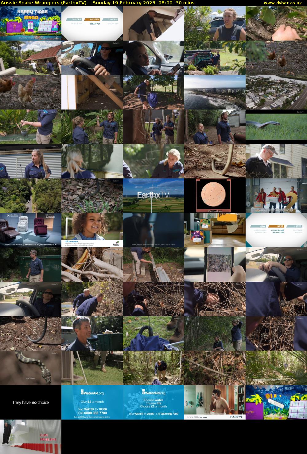 Aussie Snake Wranglers (EarthxTV) Sunday 19 February 2023 08:00 - 08:30