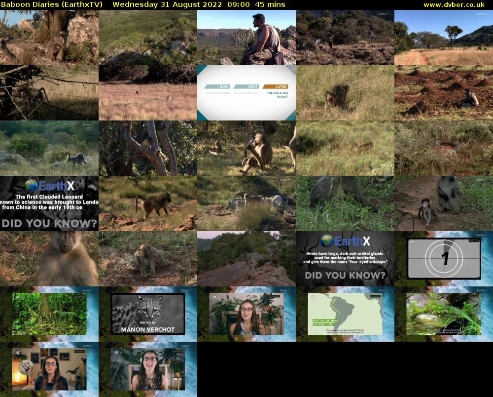 Baboon Diaries (EarthxTV) Wednesday 31 August 2022 09:00 - 09:45