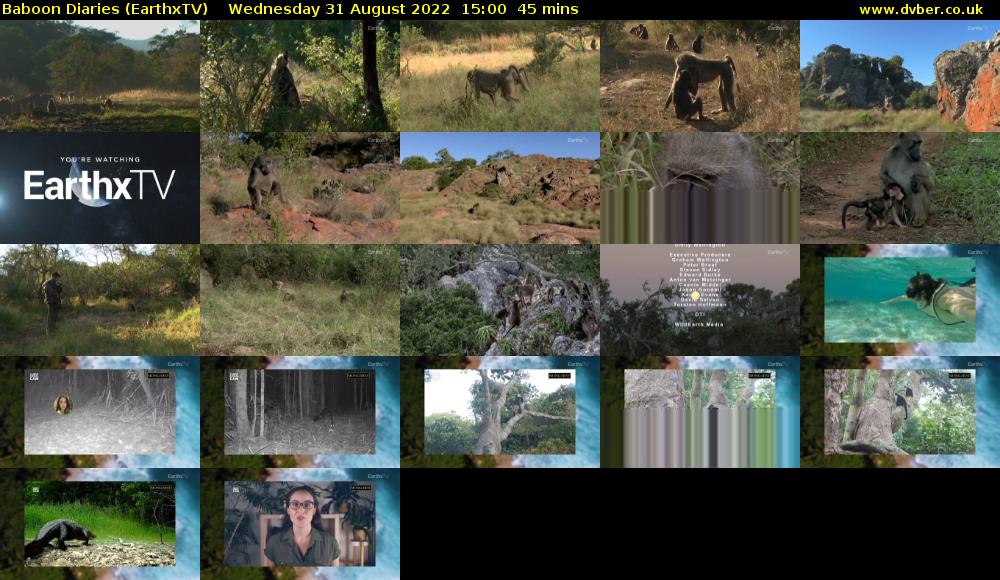Baboon Diaries (EarthxTV) Wednesday 31 August 2022 15:00 - 15:45
