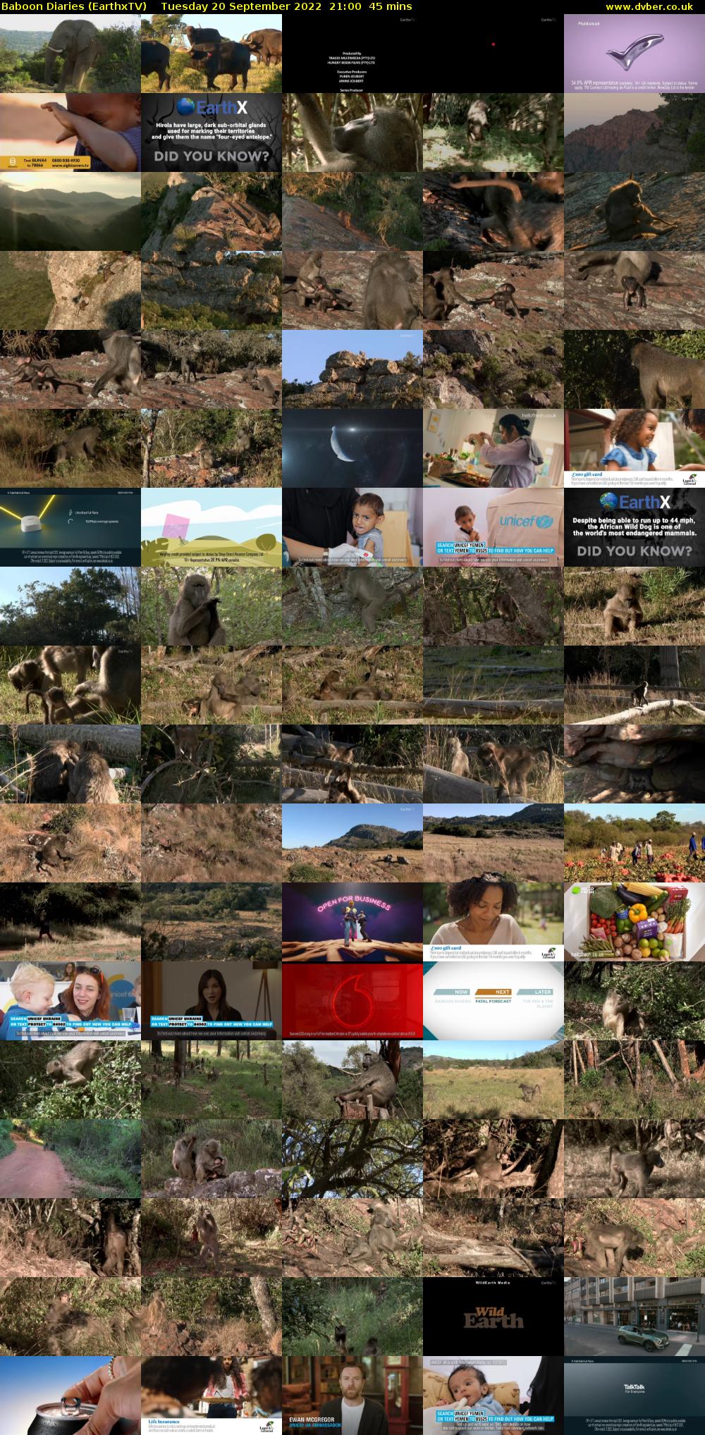 Baboon Diaries (EarthxTV) Tuesday 20 September 2022 21:00 - 21:45