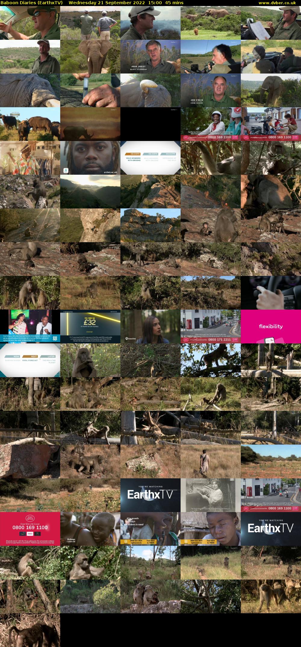 Baboon Diaries (EarthxTV) Wednesday 21 September 2022 15:00 - 15:45