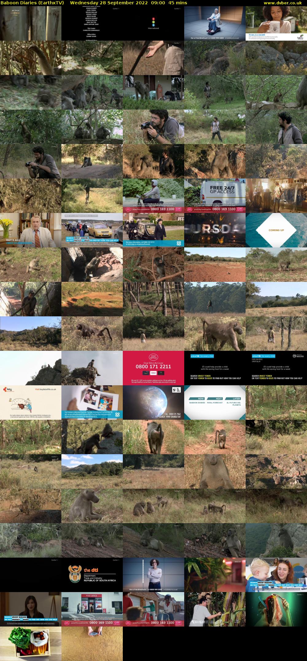 Baboon Diaries (EarthxTV) Wednesday 28 September 2022 09:00 - 09:45