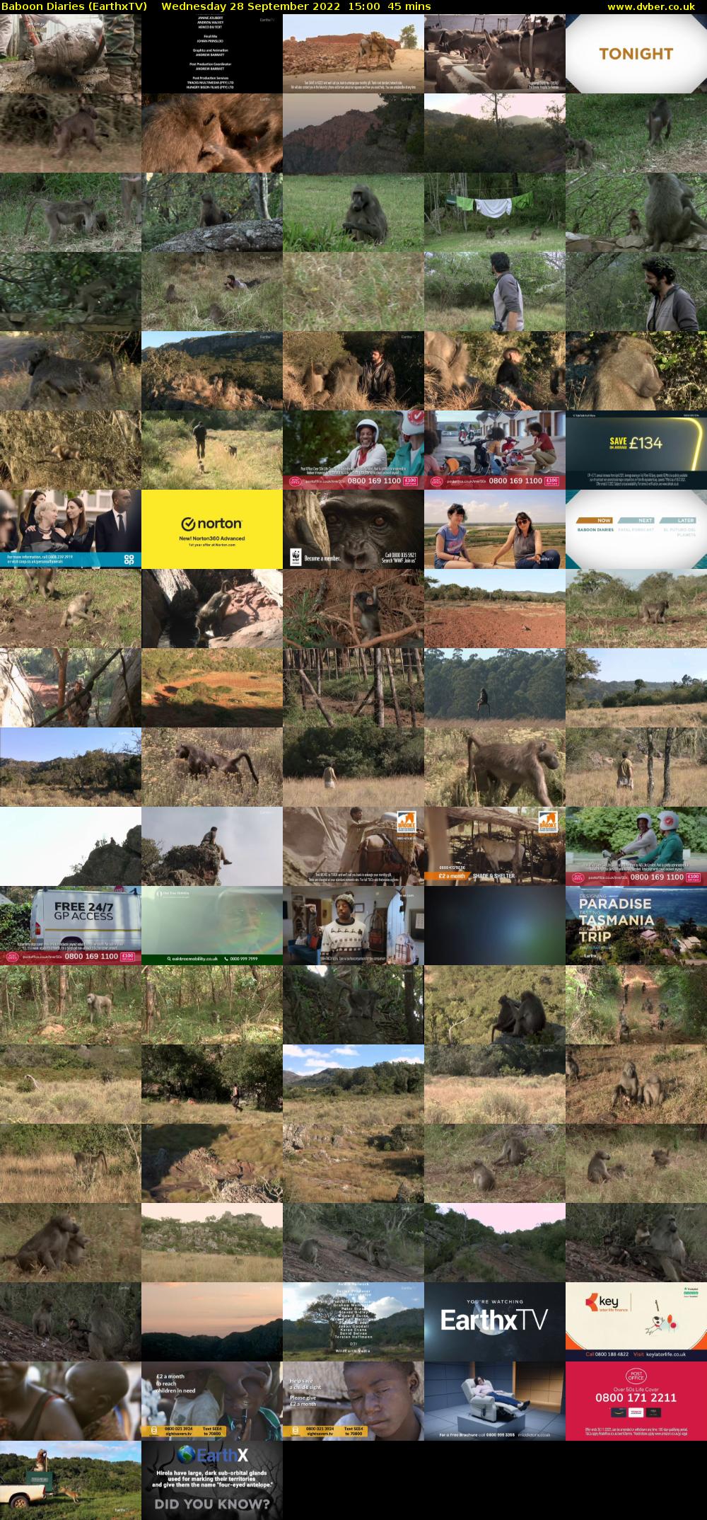 Baboon Diaries (EarthxTV) Wednesday 28 September 2022 15:00 - 15:45