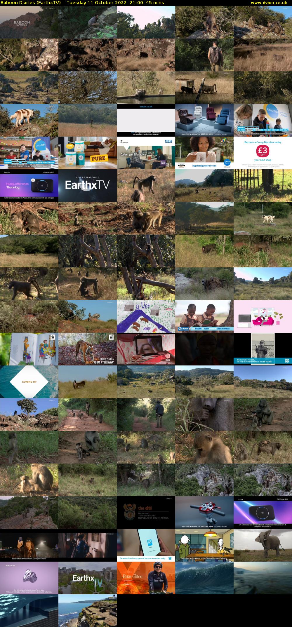 Baboon Diaries (EarthxTV) Tuesday 11 October 2022 21:00 - 21:45