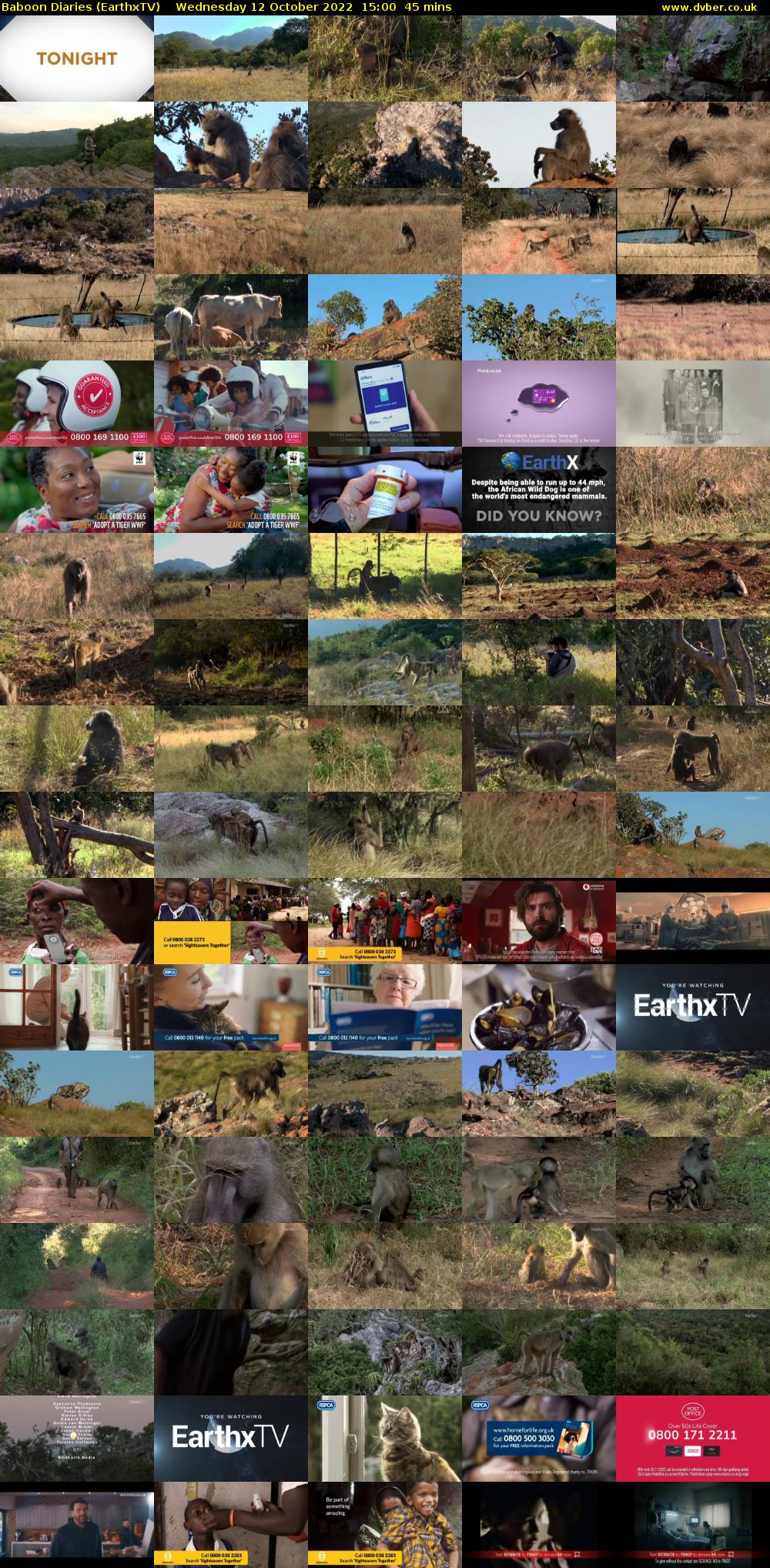 Baboon Diaries (EarthxTV) Wednesday 12 October 2022 15:00 - 15:45
