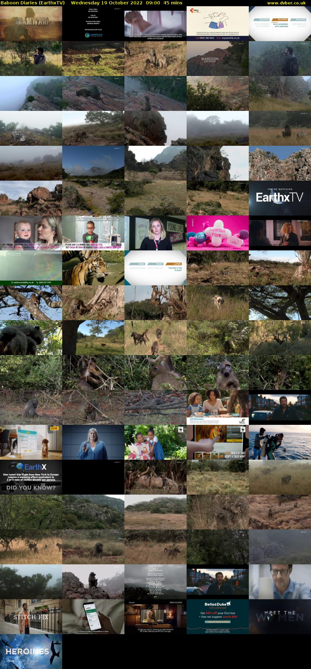 Baboon Diaries (EarthxTV) Wednesday 19 October 2022 09:00 - 09:45