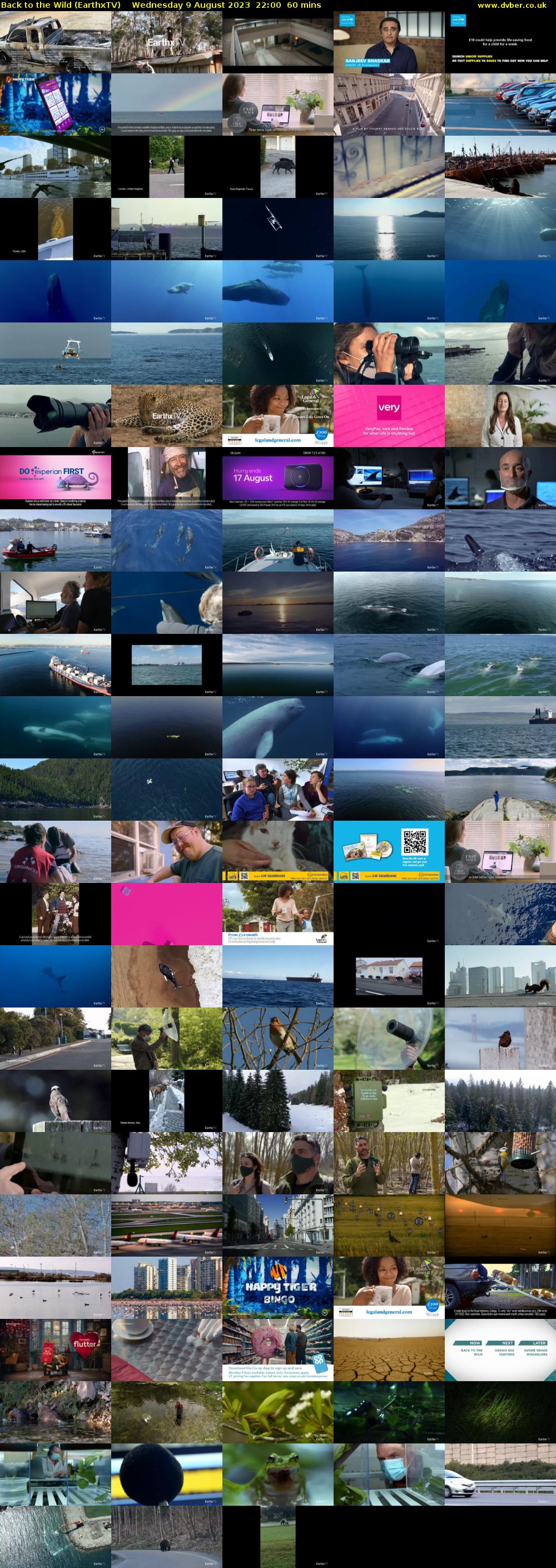 Back to the Wild (EarthxTV) Wednesday 9 August 2023 22:00 - 23:00